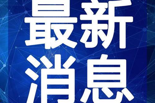 中兴最新爆料新闻报道视频,揭秘关键技术突破与市场动向