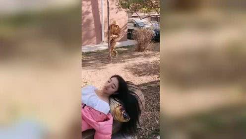 爱上超模爆料视频在哪看,独家爆料视频观看指南 第3张 爱上超模爆料视频在哪看,独家爆料视频观看指南 第3张