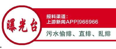 花溪新闻爆料网最新信息,重大事件追踪报道 第2张 花溪新闻爆料网最新信息,重大事件追踪报道 第2张