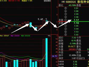 敦煌种业最新爆料消息,揭秘农业科技新突破与市场动态