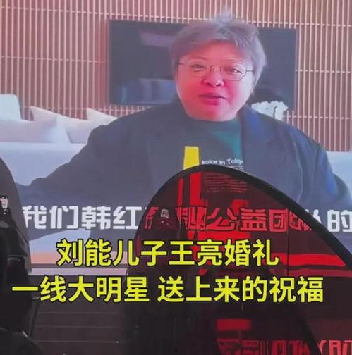 刘能娱乐圈爆料视频大全,揭秘娱乐圈幕后真相