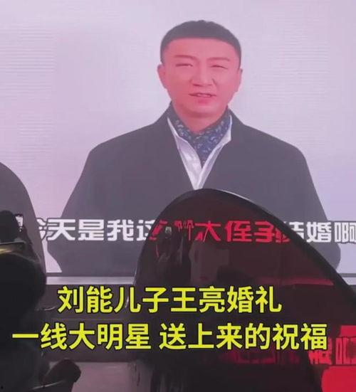 刘能娱乐圈爆料视频大全,揭秘娱乐圈幕后真相  第3张