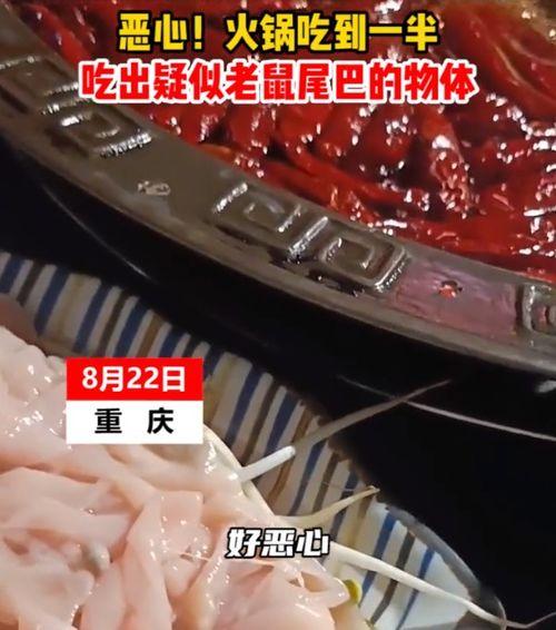 网友爆料火锅视频播放,视频揭示后厨操作全过程  第2张