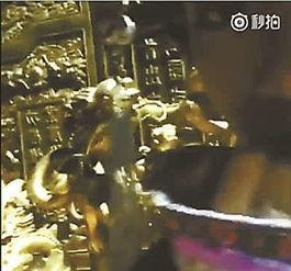 故宫最新爆料事件视频,最新爆料事件视频深度解析 第3张 故宫最新爆料事件视频,最新爆料事件视频深度解析 第3张