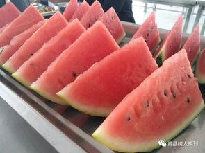 青县吃瓜最新事件爆料,揭秘背后惊人真相 第2张 青县吃瓜最新事件爆料,揭秘背后惊人真相 第2张
