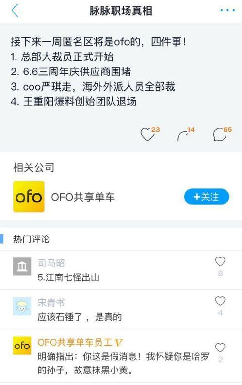 小黄大爆料最新版本,热点事件深度解析，独家内幕一网打尽  第2张