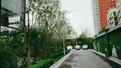石家庄公园爆料视频最新,揭秘公园里的惊人秘密！  第2张