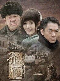 孤雁电视剧在线观看,穿越时空的守望者