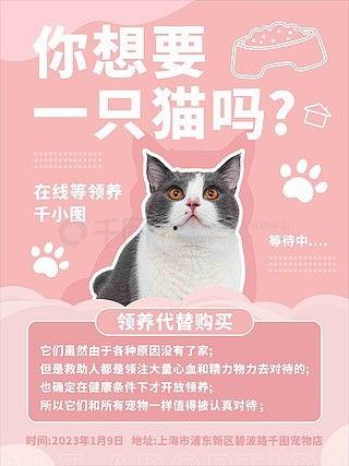 猫咪爆料视频素材下载免费,揭秘萌宠日常幕后趣事  第2张