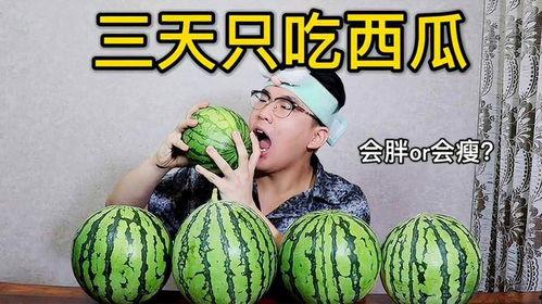 可期吃瓜人免费  第2张