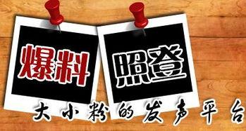 新的新闻爆料,最新爆料揭示惊天秘密