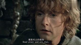 指环王在线观看,在线观影之旅，探寻中土世界的奇幻冒险  第2张