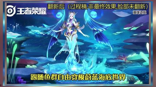海洋之心最新爆料,揭秘神秘宝石的传奇故事与最新发现