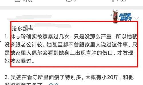 台媒爆料家暴视频,家庭悲剧引发社会关注  第3张